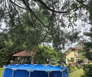 Wczasy po Polsku wiceprezesa Czarnka