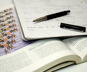 QUIZ. Fotosynteza bez tajemnic! Ile pamiętasz z lekcji biologii ze szkoły? Bijemy brawo za 7/10!