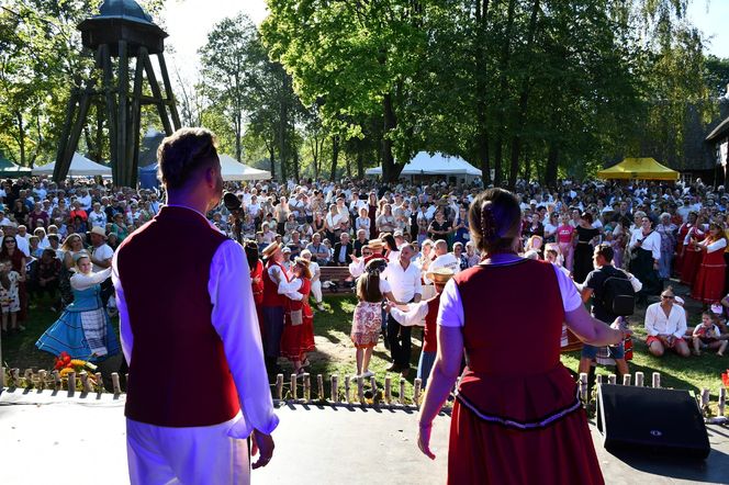 Tłumy na dożynkach w Olsztynku. Zobacz, jak wyglądało tegoroczne święto plonów