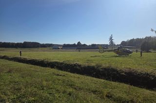 Tragedia na drodze. Wjechał w krowę motocyklem. Zwierzę nie żyje, lądował śmigłoiwec LPR