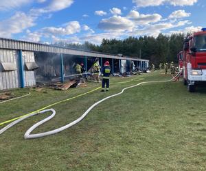 Pożar kurnika w powiecie kartuskim. Straty są kolosalne