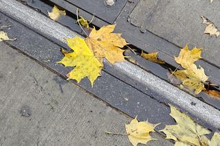 Mieszkańcy Torunia ostrzegani przed czarną szyną. O co chodzi?