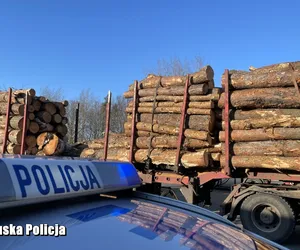 O włos od tragedii! Wielkie kłody drewna spadły w Krzeszycach