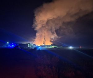 Strażacy walczyli z ogniem na składowisku odpadów w Bełżycach