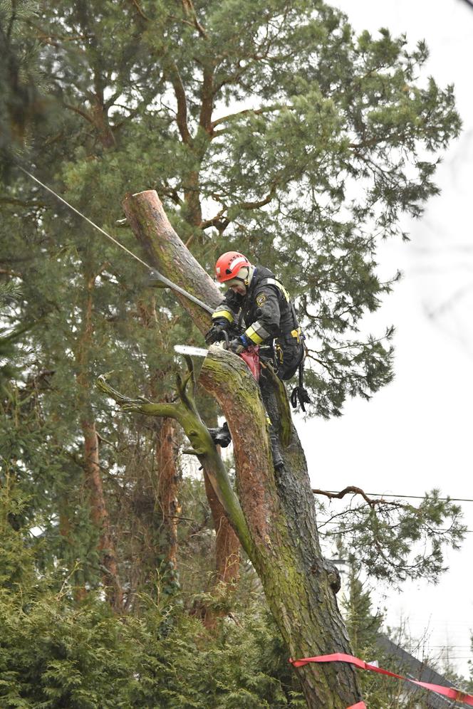 Wichura w Warszawie. Duże straty w mieście