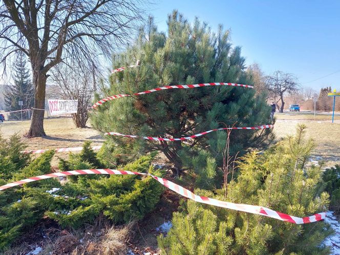 Protest Starachowice. Dość dzikiej deweloperce 