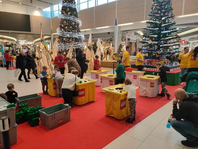 Największa w Polsce choinka z klocków LEGO. Każdy może wziąć udział w jej tworzeniu