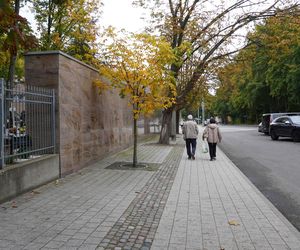 Zamknięta droga na 1 listopada. Będzie paraliż? Tłumaczymy, jak dojechać! 