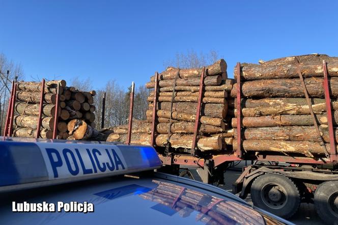 gorzów policja krzeszyce kłody