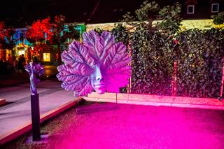 Te zdjęcia to najlepsza reklama Daisy Days w Pszczynie. Zobaczcie, jak tam jest magicznie!