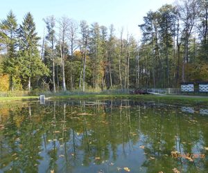 Szlak na Górę Dębową zachwyca jesienią. Rosną tam 100-letnie drzewa