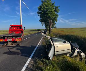 19-latek zginął w potwornym wypadku. Volkswagen pękł na dwie części. Koszmarny widok