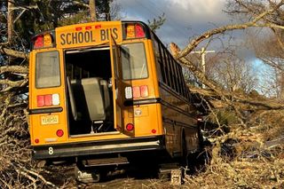 Drzewo runęło na szkolny autobus w New Jersey