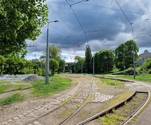 Torowisko tramwajowe na Babiej Wsi w Bydgoszczy zarośnięte chwastami. Tramwaje zniknęły stąd lata temu
