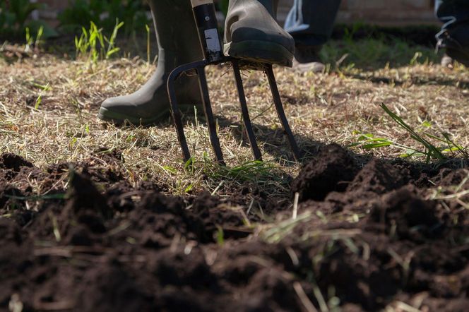 Jak rozluźnić ciężką, gliniastą glebę? Zrób tak, a rozwiążesz problem!