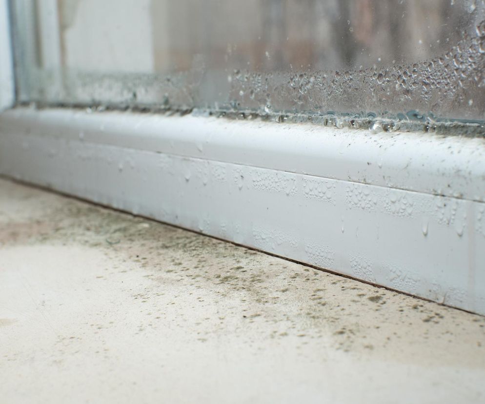 Jak usunąć pleśń ze ściany przy oknie?