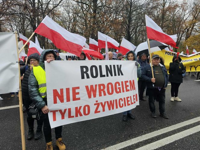Protest plantatorów tytoniu w Warszawie (3.11.2025)