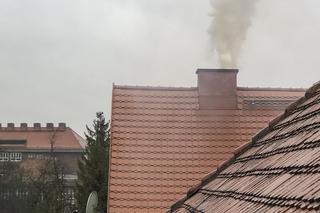 Pożar na wrocławskim Sępolnie we Wrocławiu 