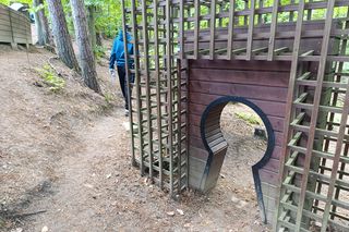 Zaczarowany ogród Alicji w Krainie Czarów i ścieżka spacerowa w lesie. Leśny Ogród Botaniczny Marszewo