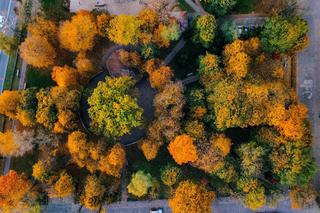 Małopolskie miasto, które przyciąga nowych mieszkańców. Zaludnia się najszybciej w regionie 