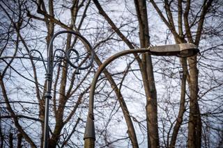 Remont Parku Skaryszewskiego