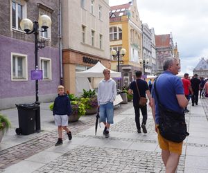 Dni Olsztyna 2025. Dziesiątki wystawców i setki olsztynian na Jarmarku Jakubowym
