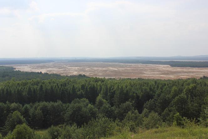 Największa pustynia w Polsce leży w Małopolsce. Odwiedza ją tysiące turystów [GALERIA]