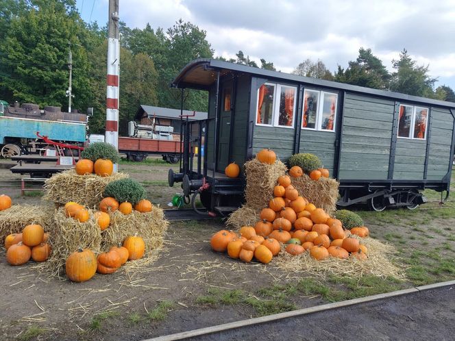Jesienna atrakcja dla całej rodziny. Zabytkowa stacja w Rudach zaprasza na Pumpkin Express