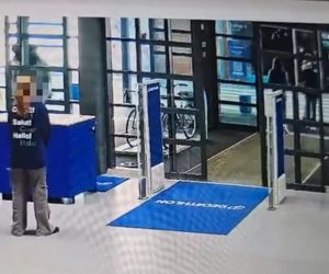 Ukradła i schowała się przed policją za drzewem