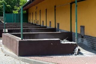 Rozpoczął się remont bytomskiego schroniska dla bezdomnych zwierząt. O jego realizacji zadecydowali mieszkańcy