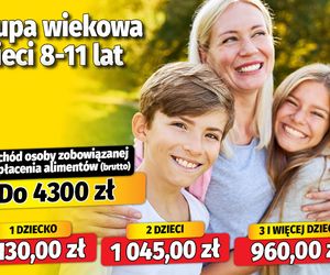 Nowe tablice alimentacyjne