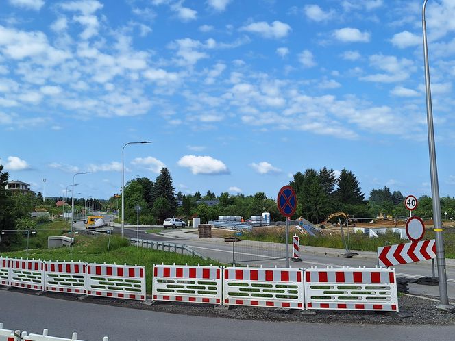 Te miejsca najbardziej zmienią się w Rzeszowie na przestrzeni najbliższych lat według AI