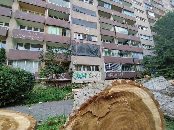 Wielkie drzewo runęło im na blok. „Widziałam, jak na mnie leci!”