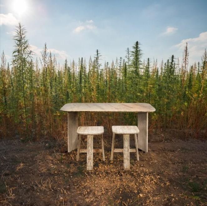 Innowacyjne meble z konopi. Będą produkowane na masową skalę