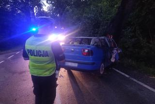 Tragiczny wypadek na trasie Olsztyn-Nikielkowo. Kierowca zmarł na miejscu [FOTO]