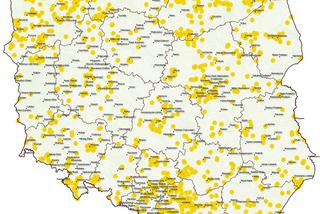 Barszcz Sosnowskiego gwałtownie rozrasta się w całej Polsce