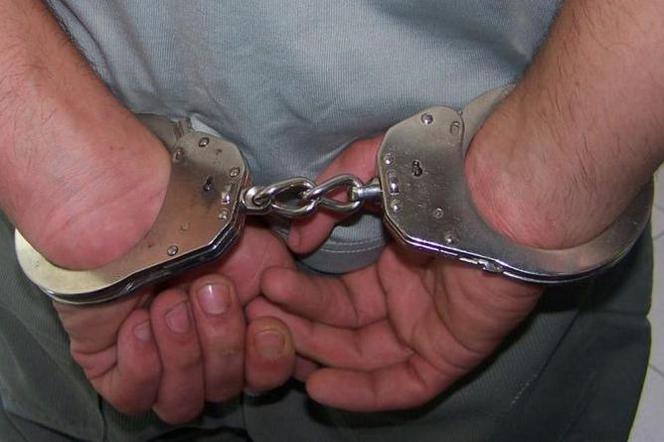 Poszukiwany dwoma listami gończymi i ENA zatrzymany w Holandii