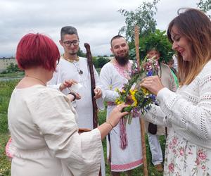 Kupalnocka na Wyspie Młyńskiej