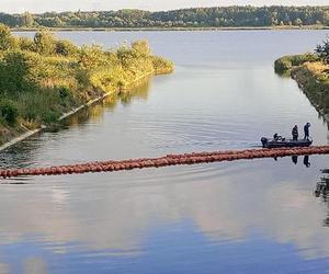 Przedłużono zakaz korzystania z jeziora Dzierżno Duże. Odłowiono już ponad 111 ton śniętych ryb