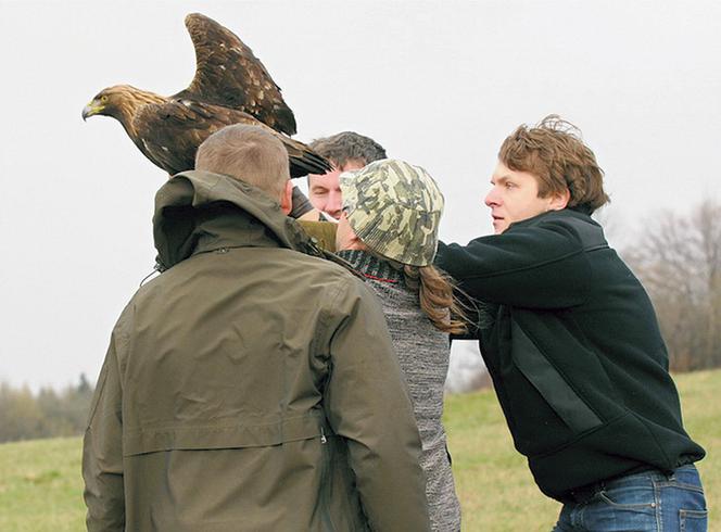 Uratowali polskiego orła