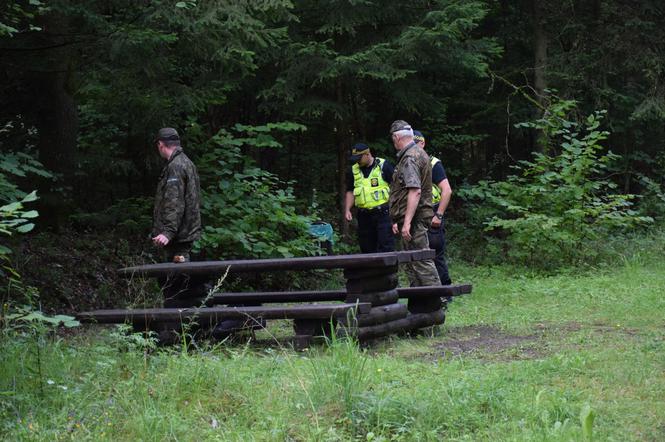 Straż Miejska sprawdza tereny leśne w Białymstoku