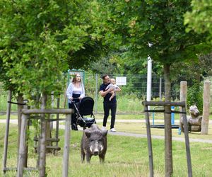 Miłosz Motyka. Energia rozpiera ministra