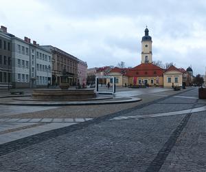 Kolacja w restauracji na Rynku Kościuszki