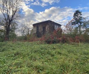 Zamek w Dąbrówce Starzeńskiej