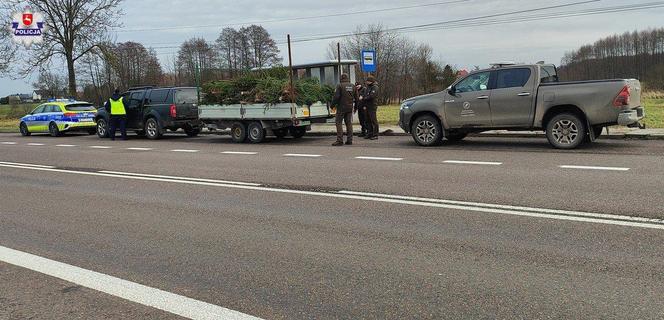 Policjanci wraz ze strażą leśną patrolują lasy w woj. lubelskim. Pilnują, by nikt nie ukradł choinek 