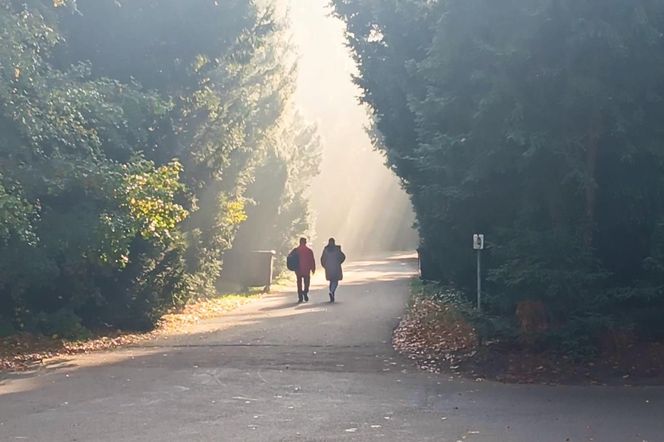 Przygotowania do 1 listopada na Cmentarzu Centralnym w Szczecinie