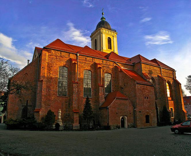 Konkatedra św. Jadwigi