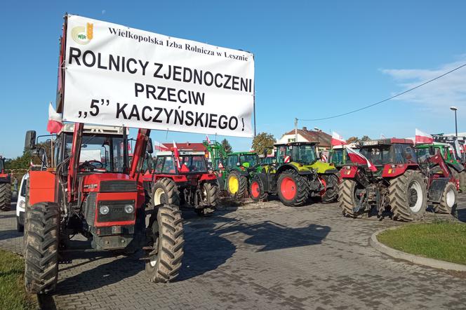 Ponad setka ciągników blokowała drogi w regionie leszczyńskim. Rolnicy protestowali przeciwko 5 Kaczyńskiego [WIDEO/ZDJĘCIA]
