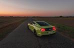 Ford Mustang GT 5.0 V8 55 Edition