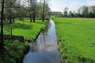 Płonka Kościelna na Podlasiu
